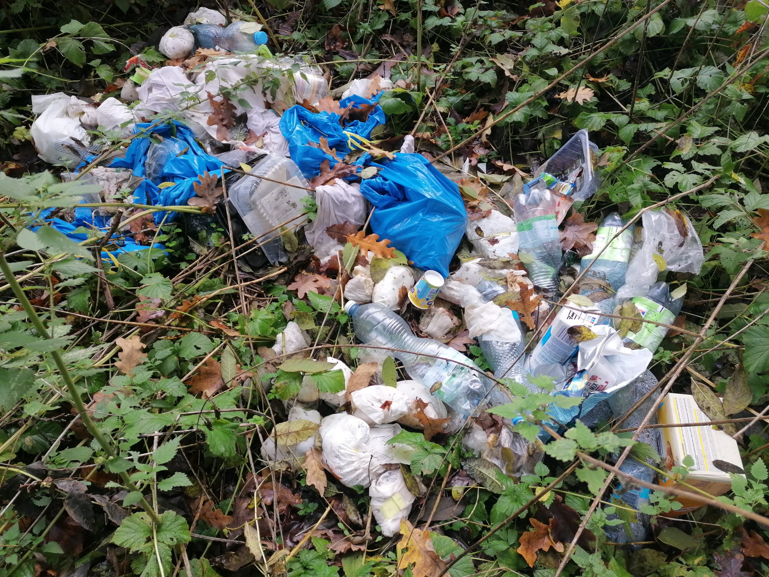 Foto skládky z okolí